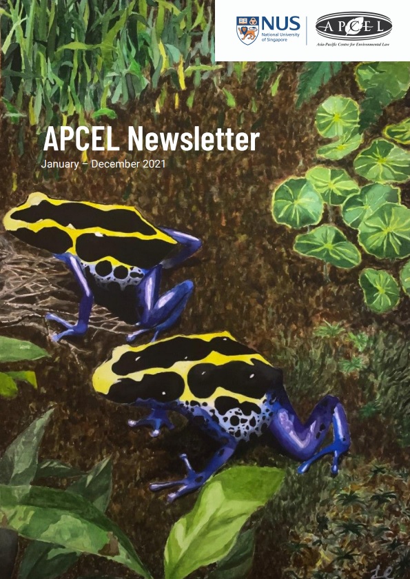 APCEL Newsletter 2021