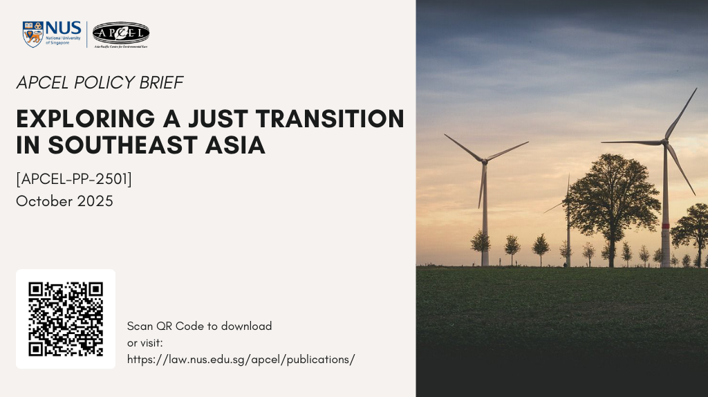 APCELPP2501 1024x576