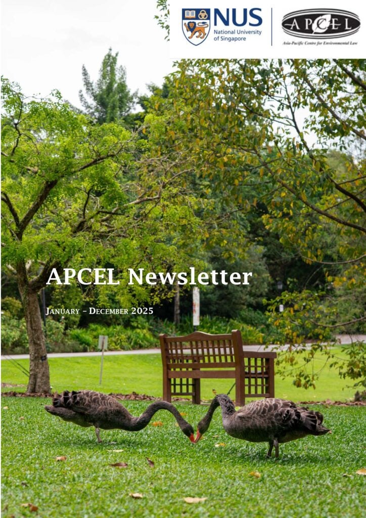 APCEL Newsletter 2025 cover_Page_01